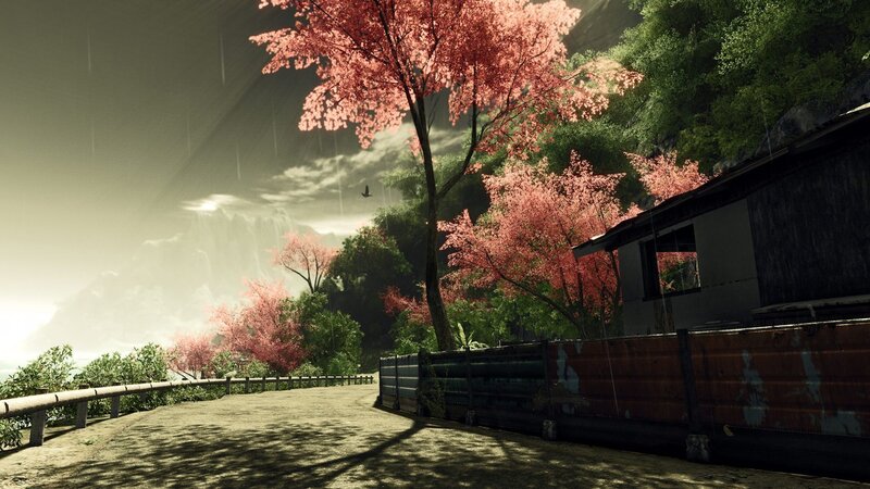 Rainy Path with Cherry Trees