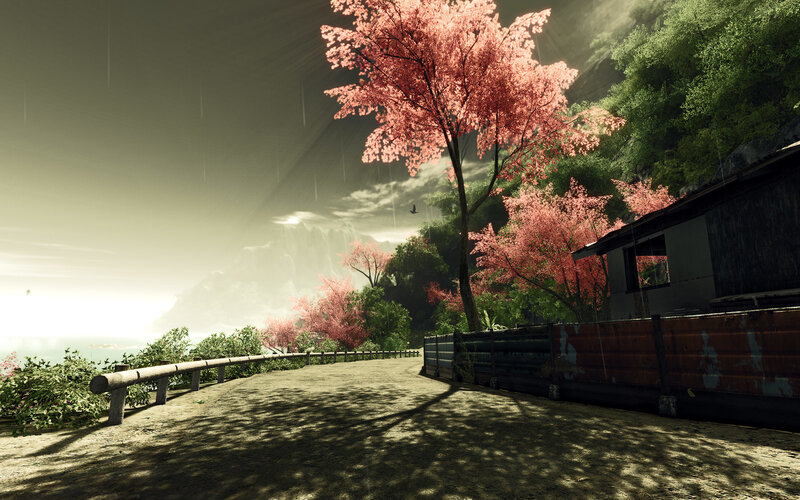 rainy path with pink trees