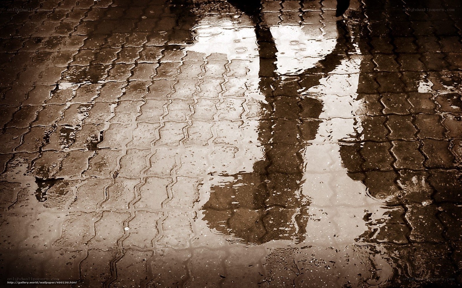 Rainy pavement reflection