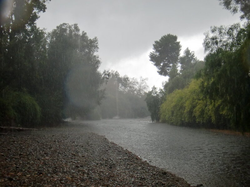 Rainy Riverbank