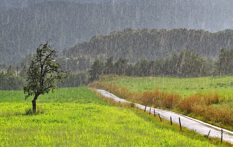 Rainy Road in Countryside