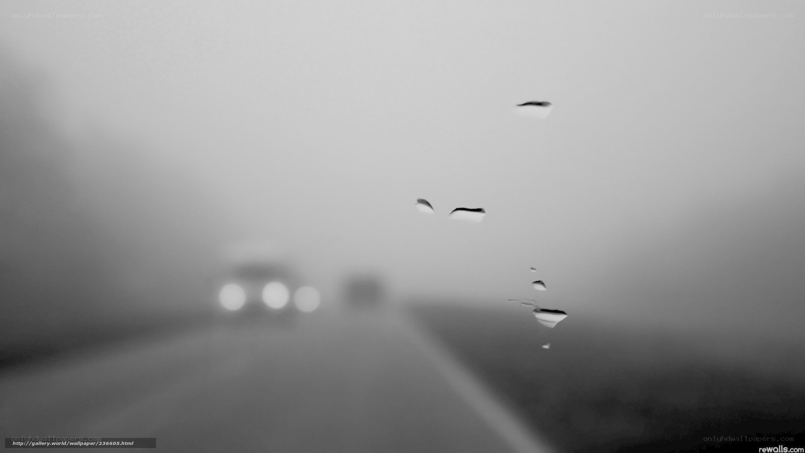 Rainy road with car lights