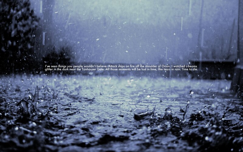 rainy scene with quote