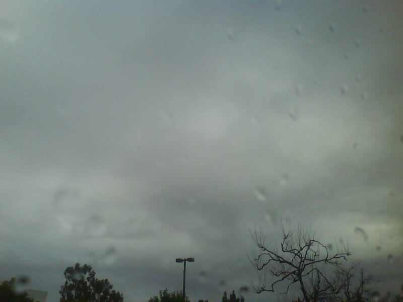 rainy sky with tree silhouettes