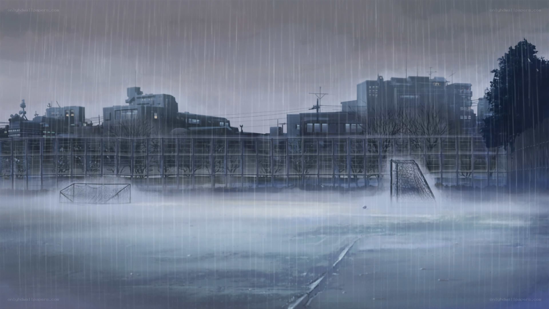 rainy soccer field at dusk