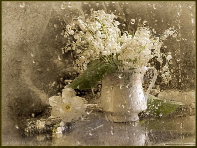 Rainy still life with flowers