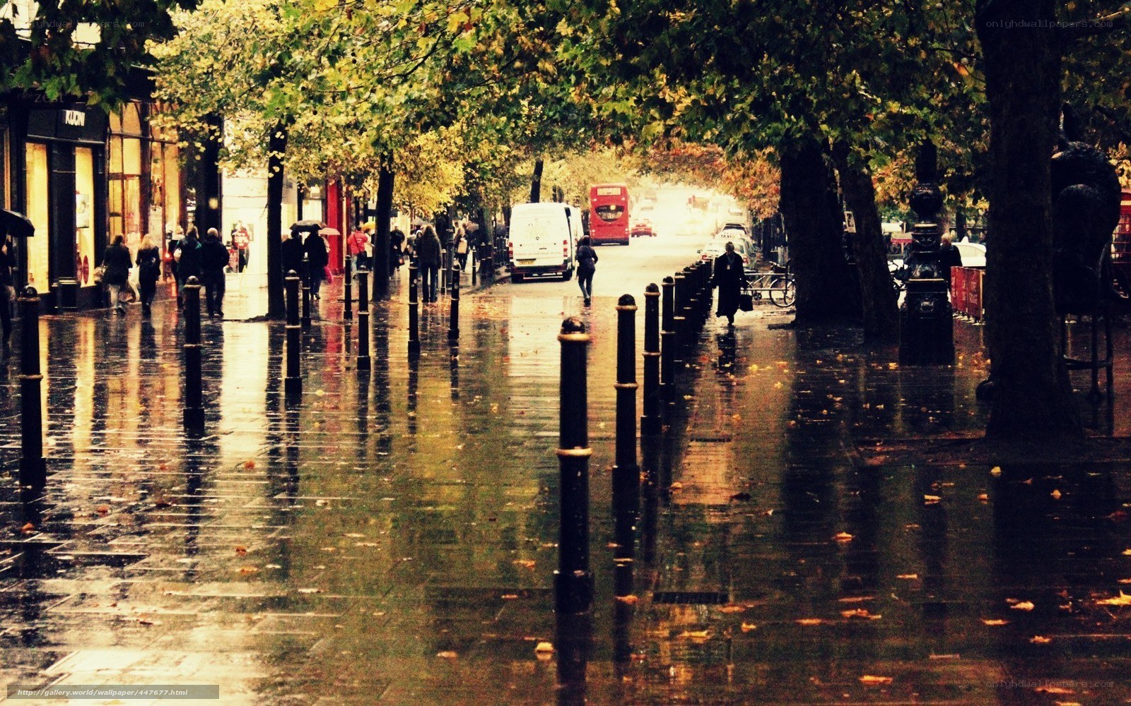 Rainy street in London