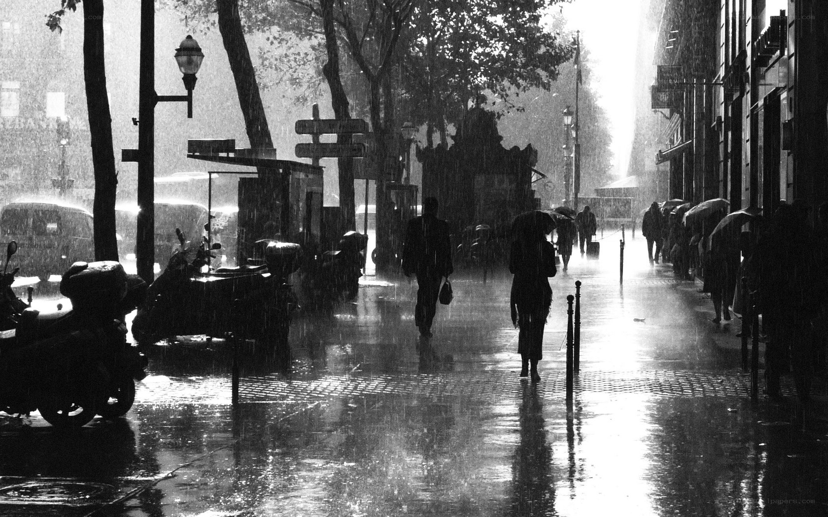 Rainy Street in Paris