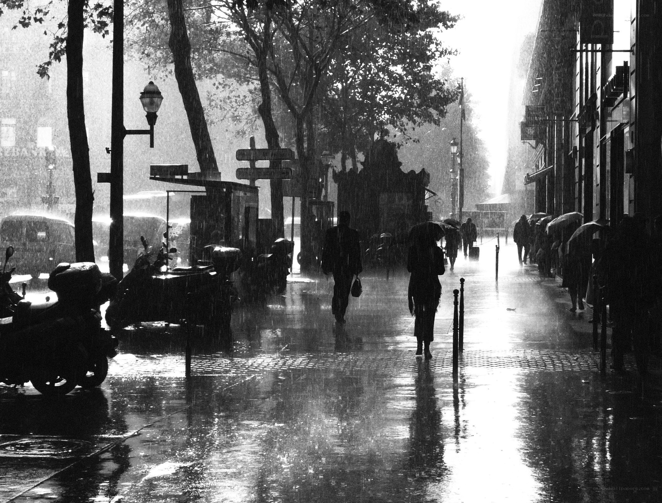 Rainy street in the city