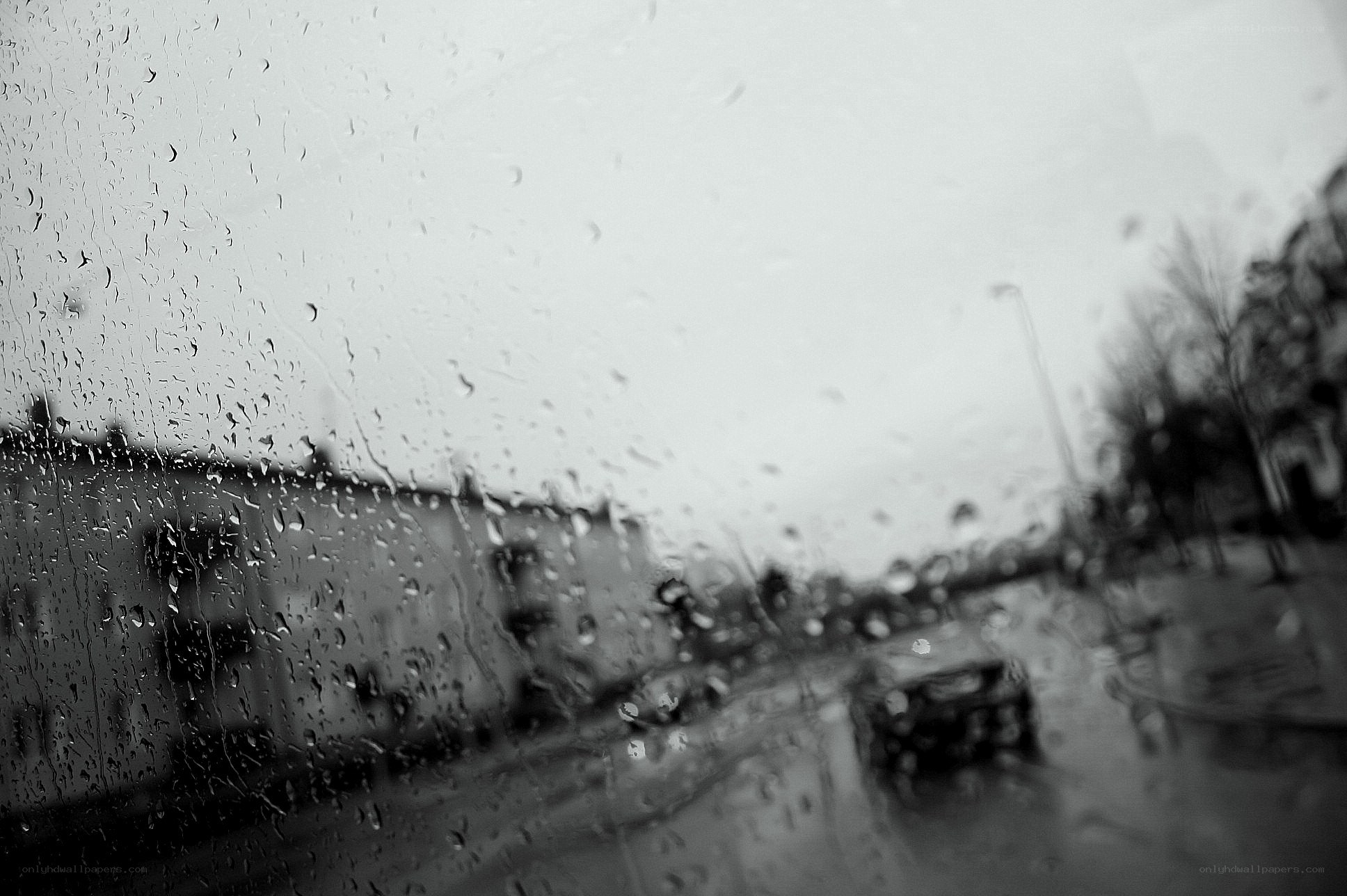 Rainy street view from car window