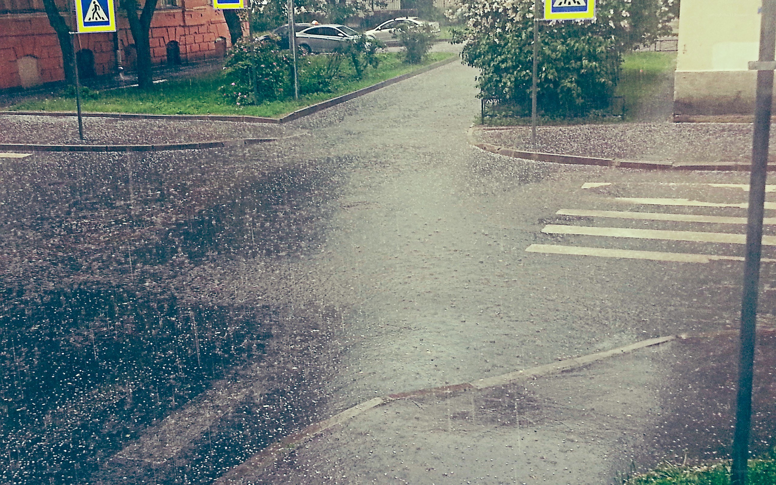 Rainy street with crosswalk