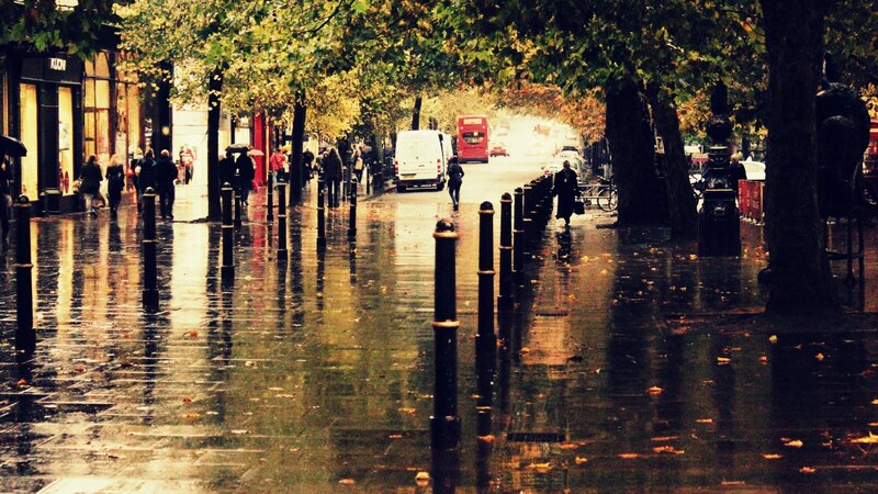 Rainy Street with Pedestrians