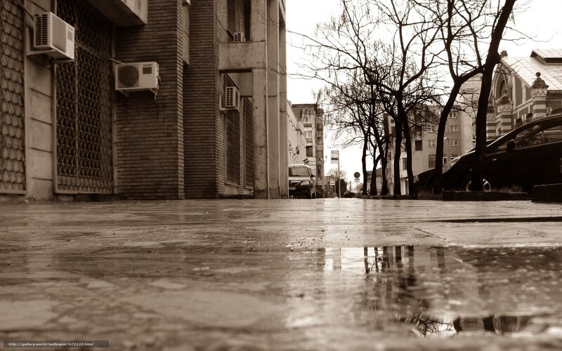 rainy street with puddle