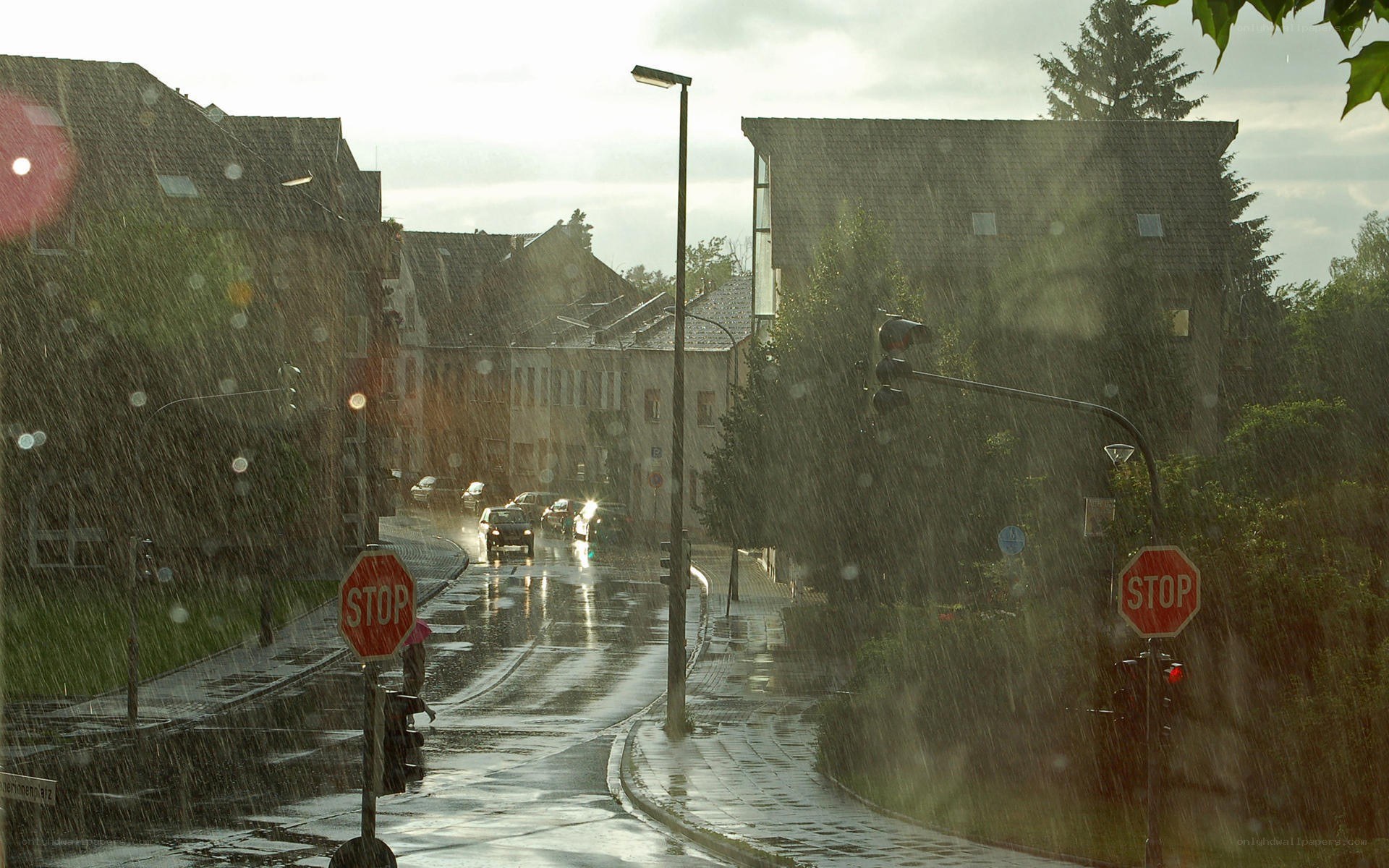 Rainy street with stop signs
