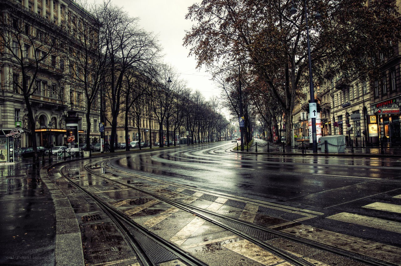 rainy street with tram tracks