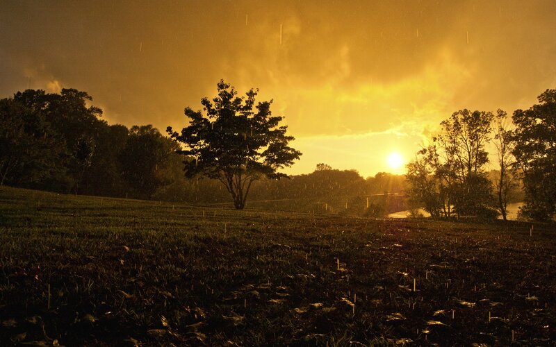 Rainy sunset over a field