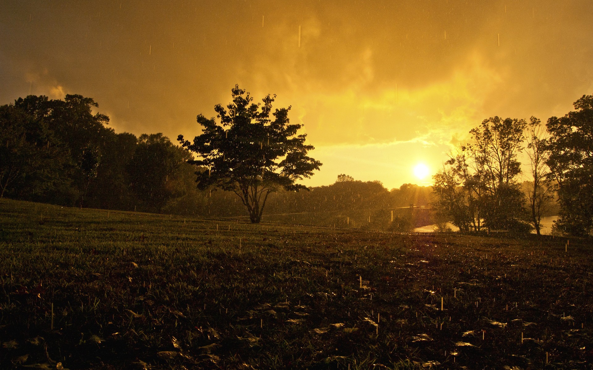 Rainy sunset over a field