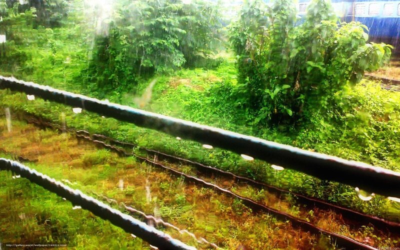 Rainy train journey through greenery