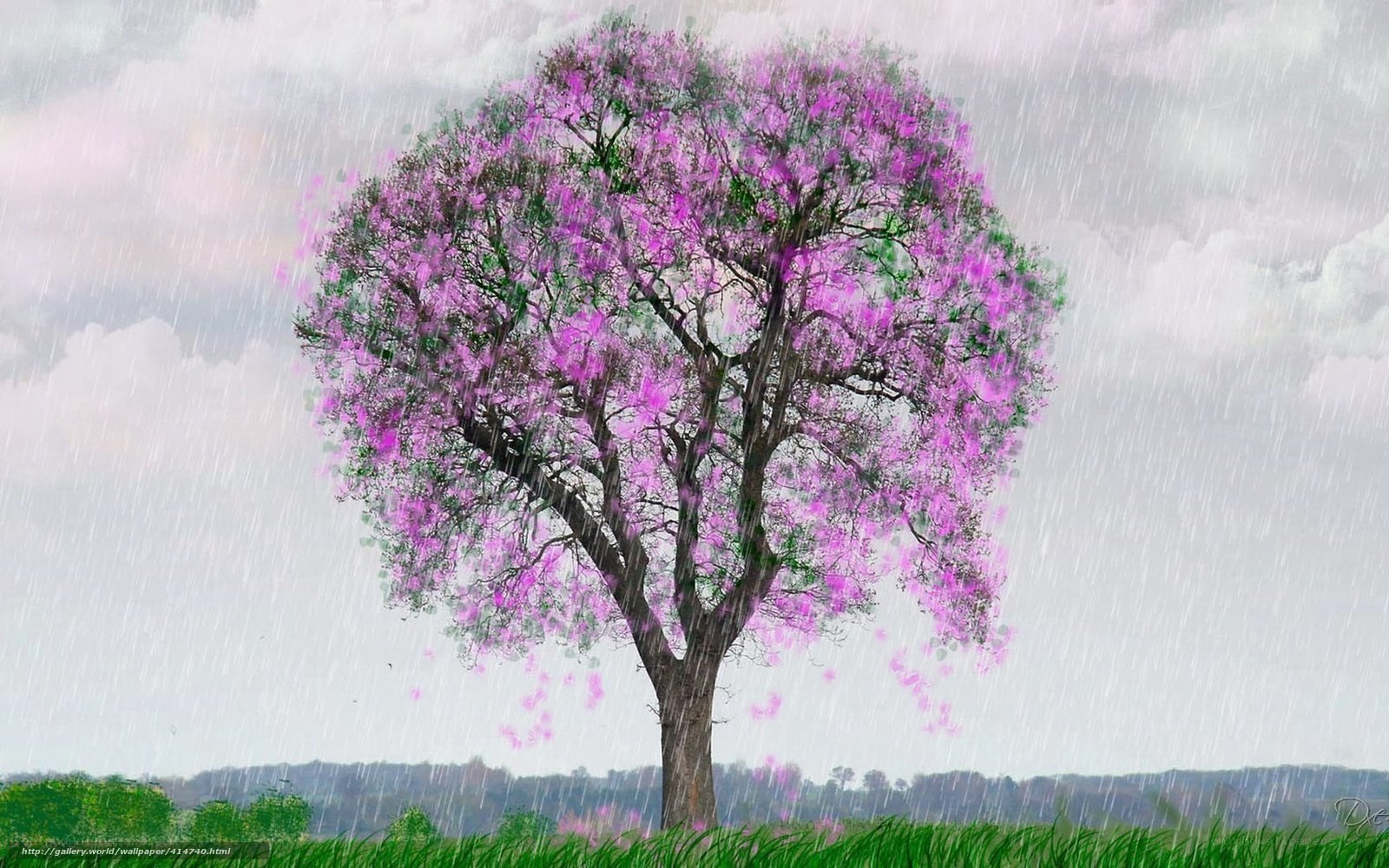 Rainy tree with purple flowers