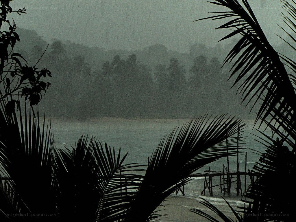 Rainy tropical beach scene