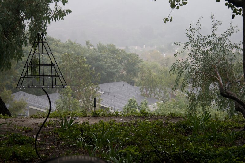 Rainy view of suburban homes