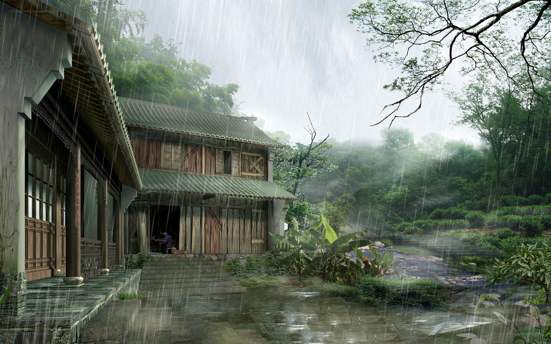 Rainy village scene