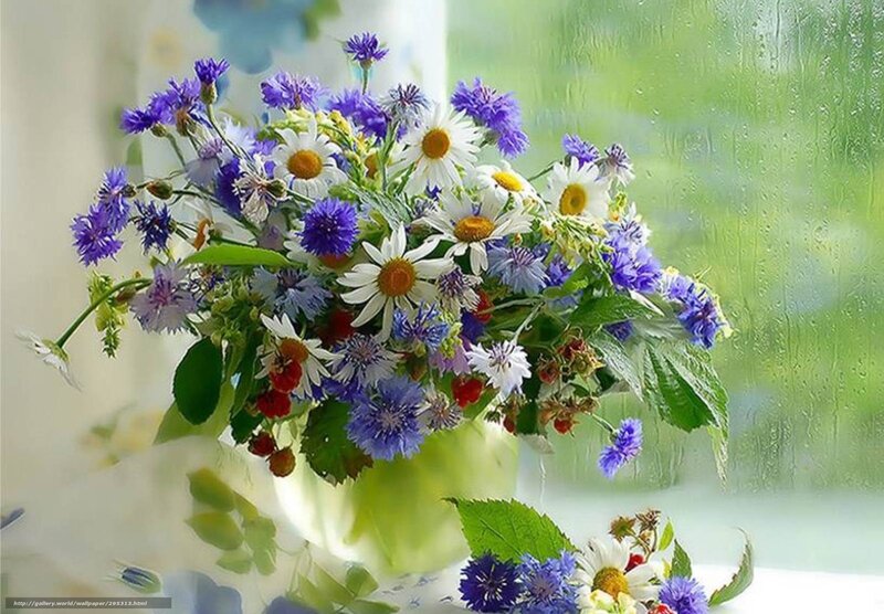 Rainy window flower bouquet