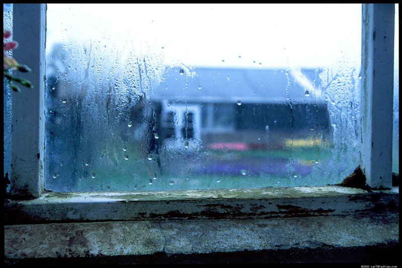 Rainy window view