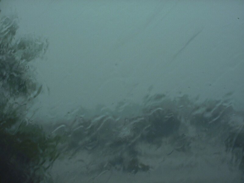 Rainy Window View — Gray