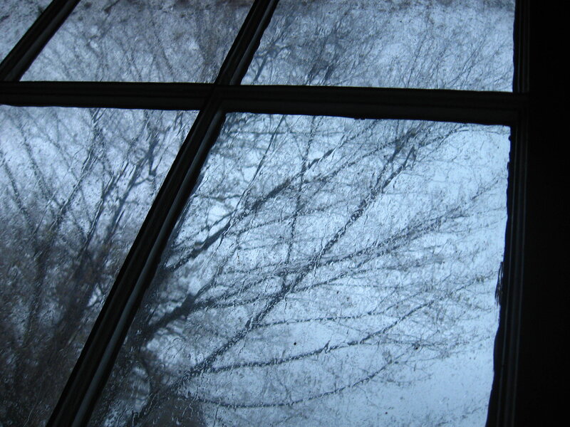 rainy window view of trees