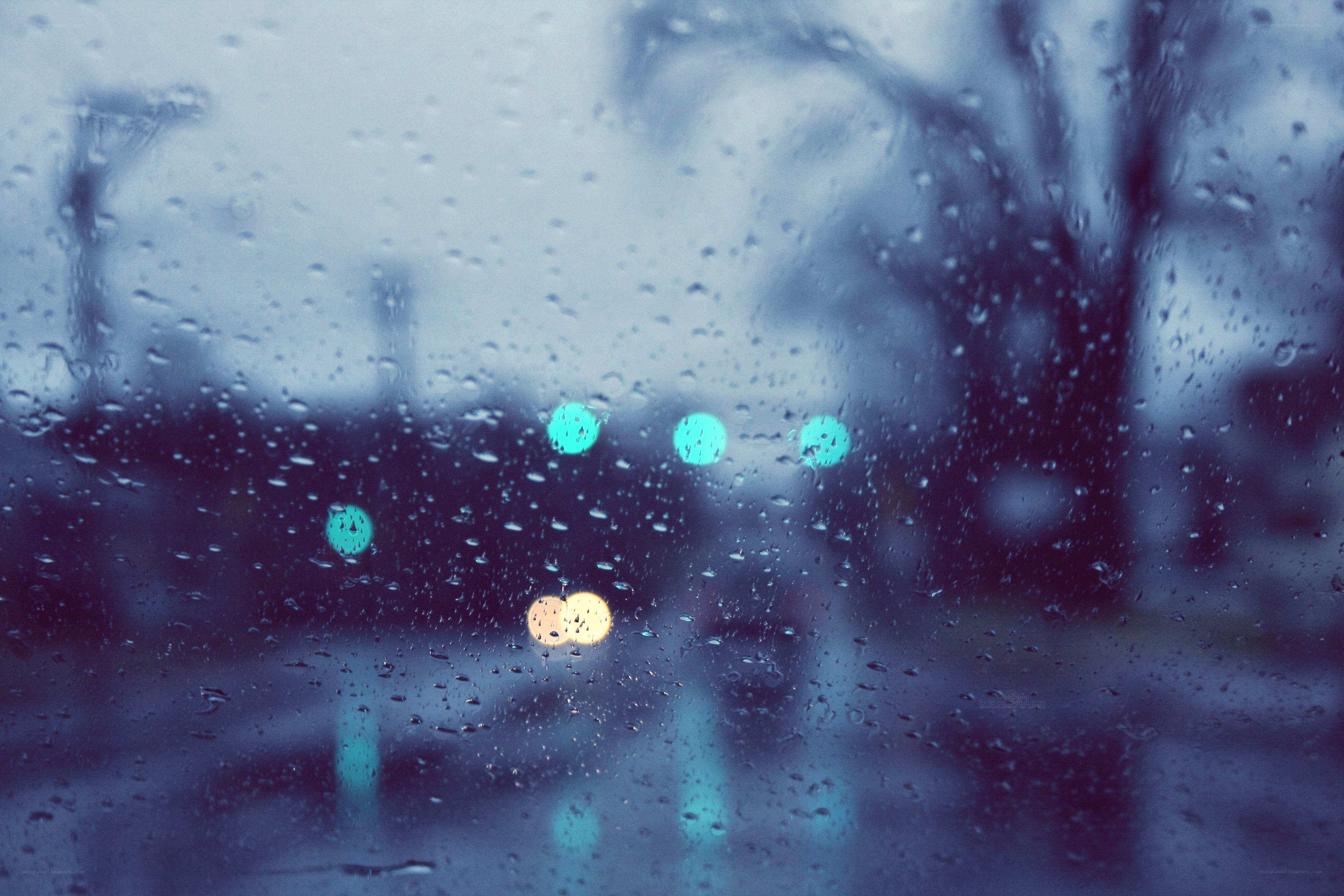 rainy window with city lights