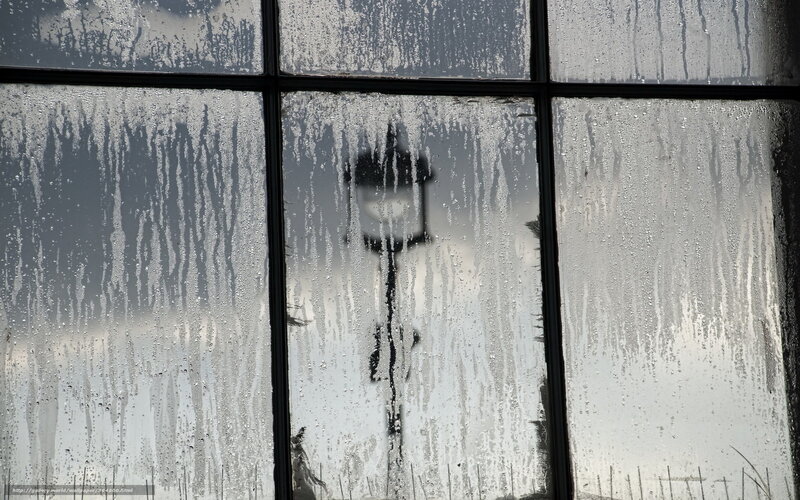 Rainy window with street lamp