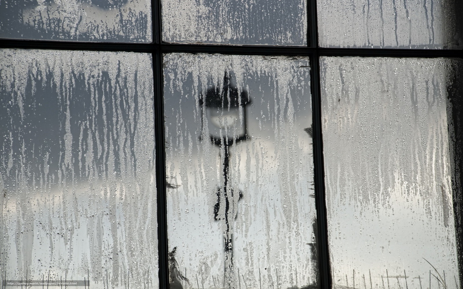 Rainy window with street lamp