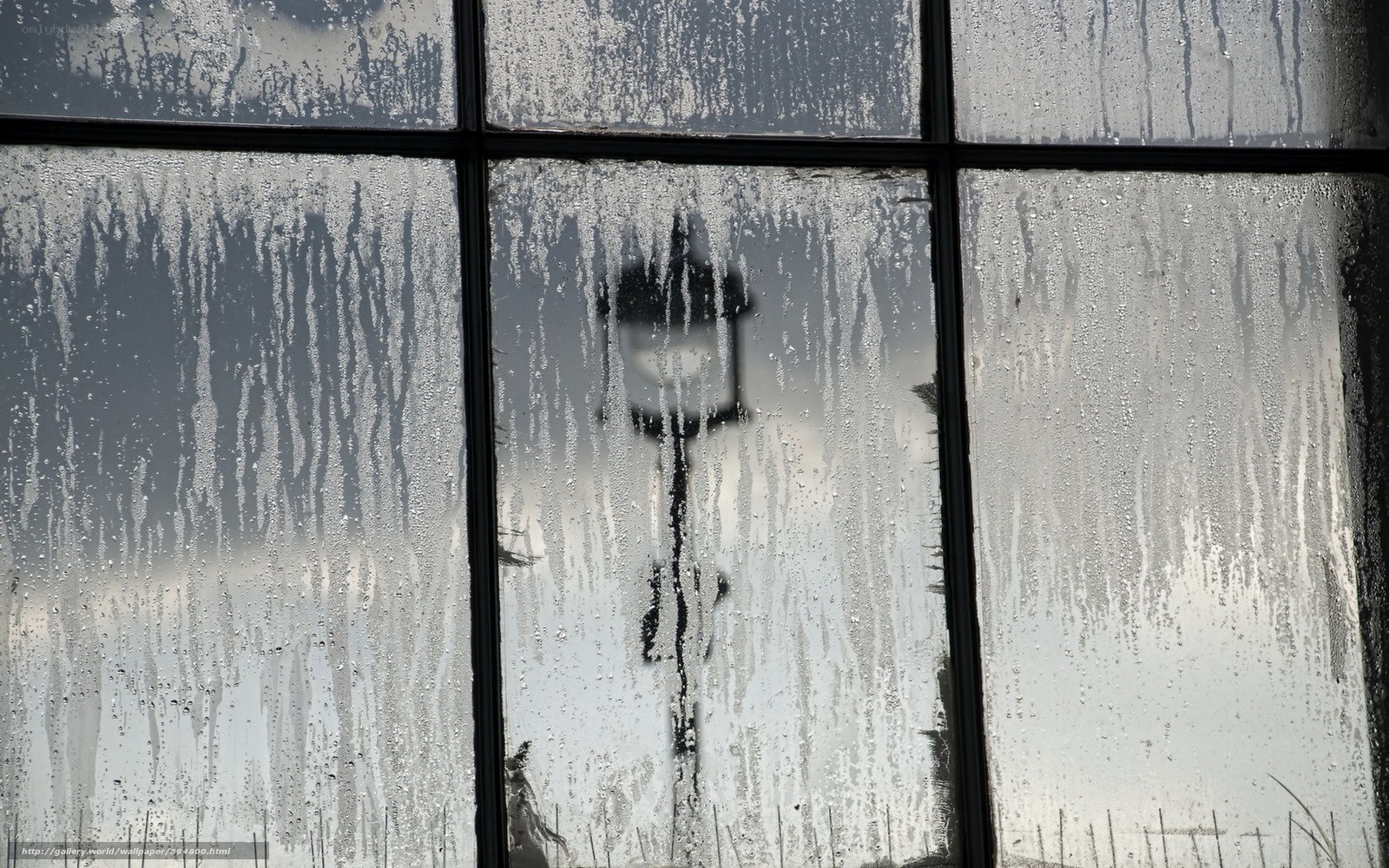 Rainy window with street lamp
