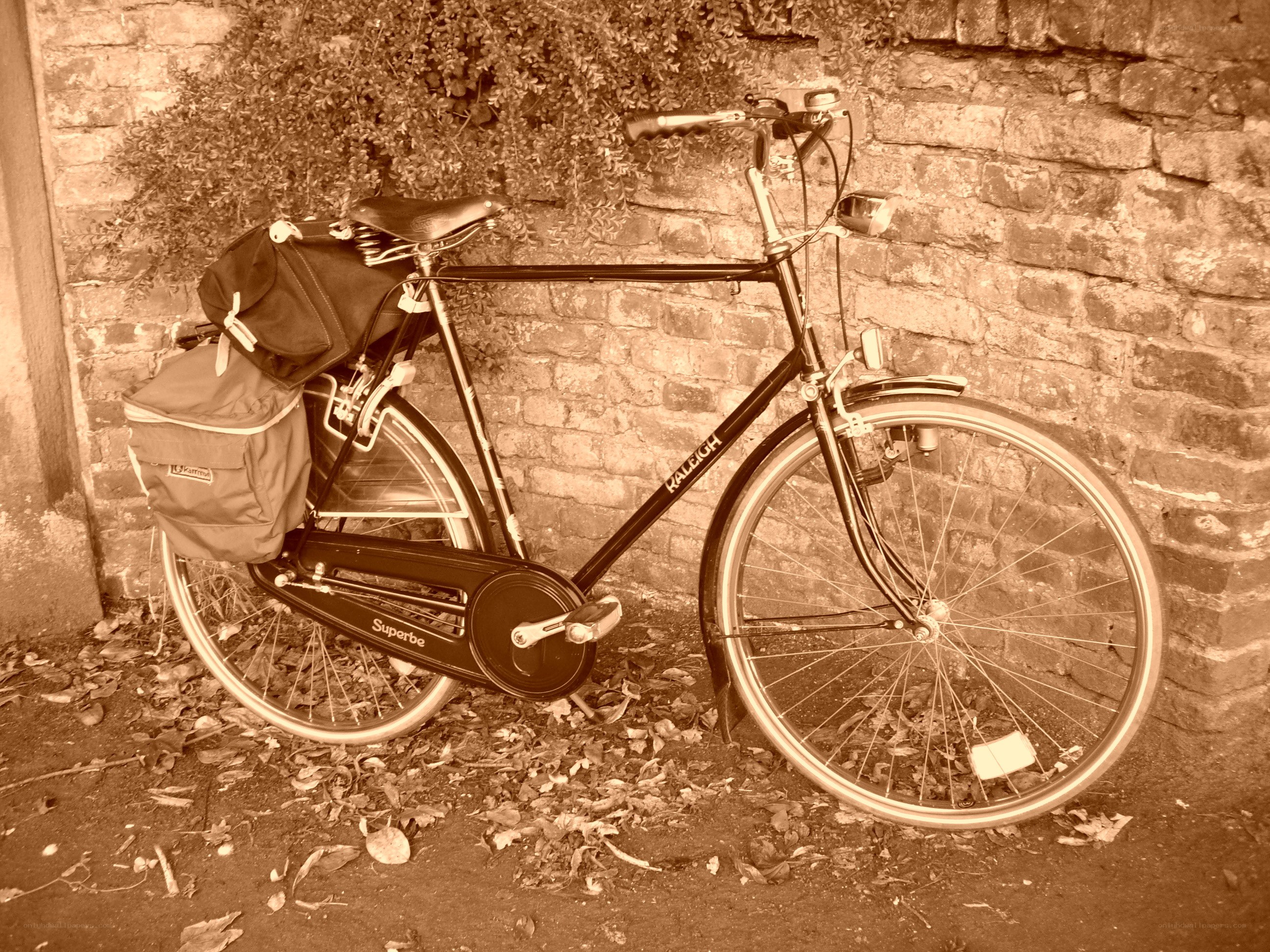 Raleigh bicycle with panniers