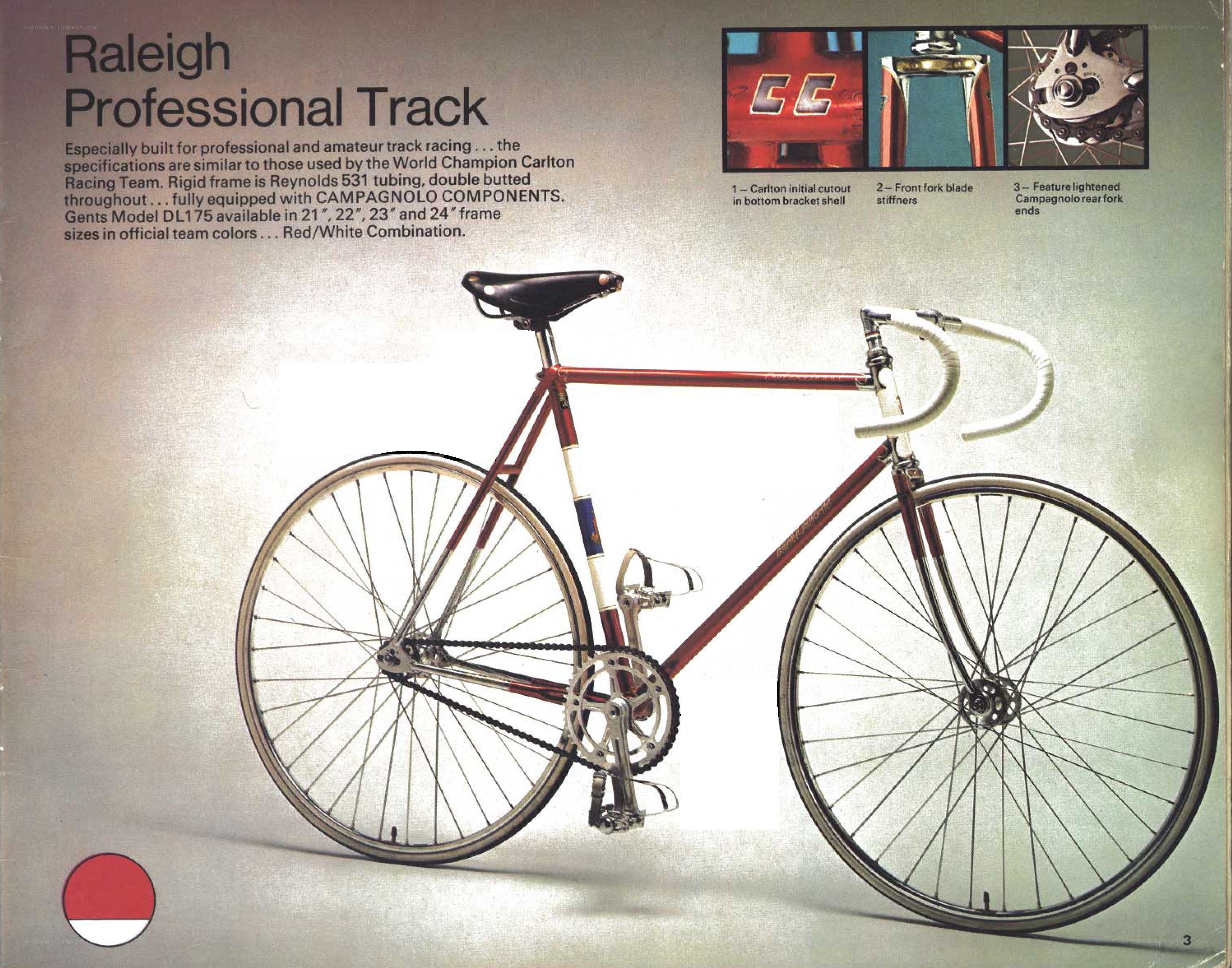 Raleigh Professional Track bicycle