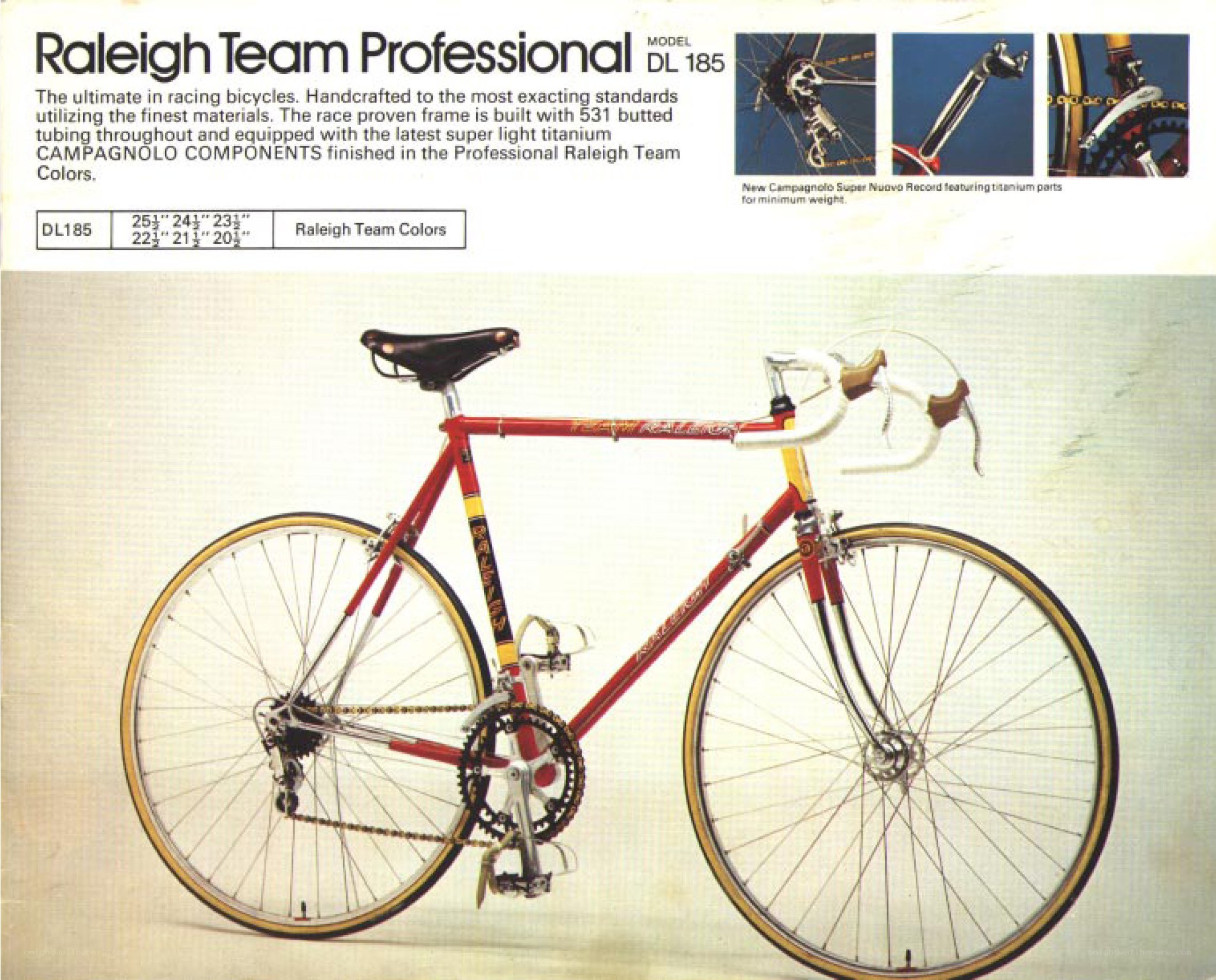 Raleigh Team Professional bicycle