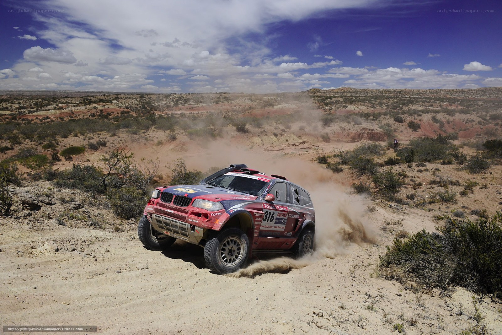 Rally car in desert terrain