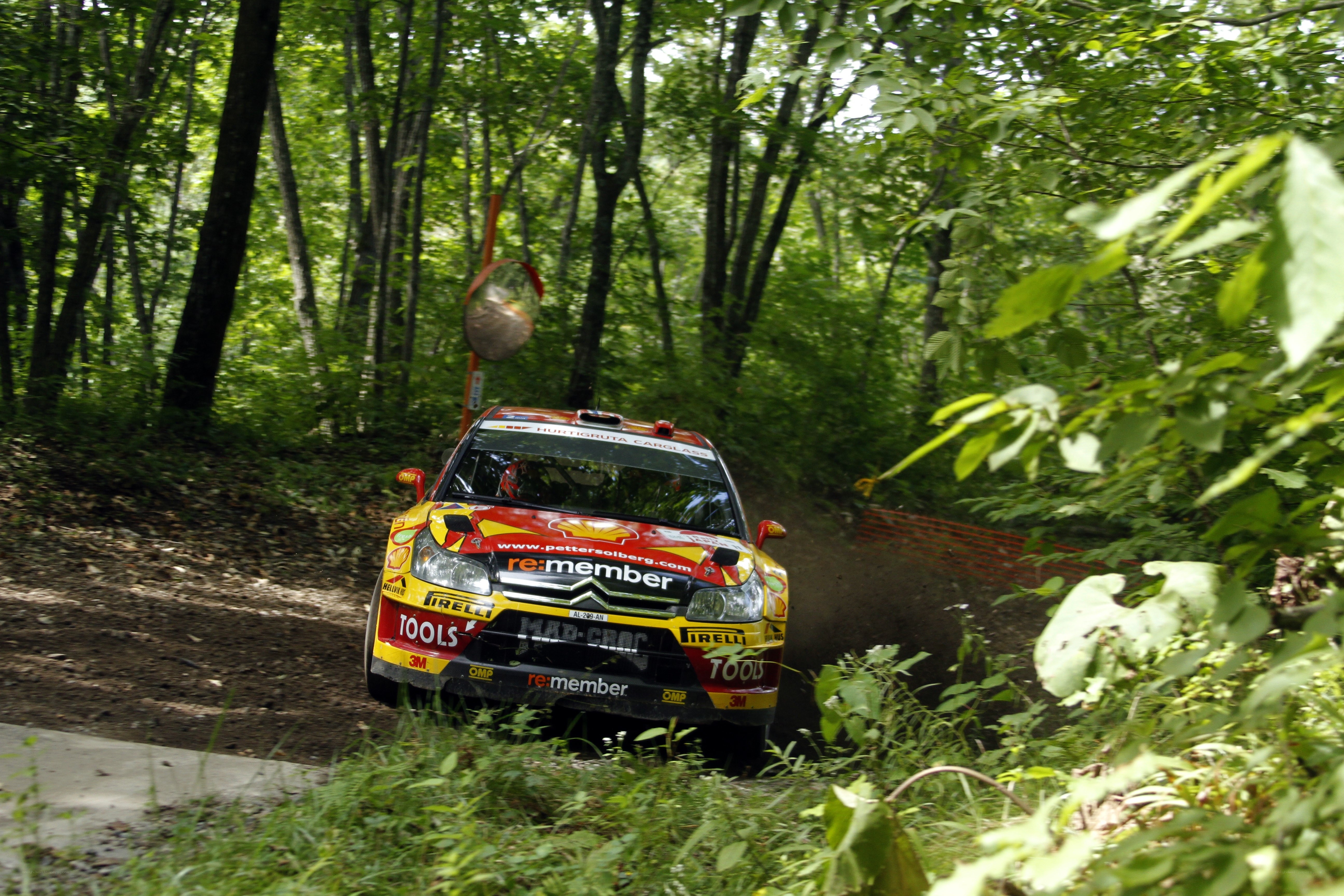 Rally car in forest