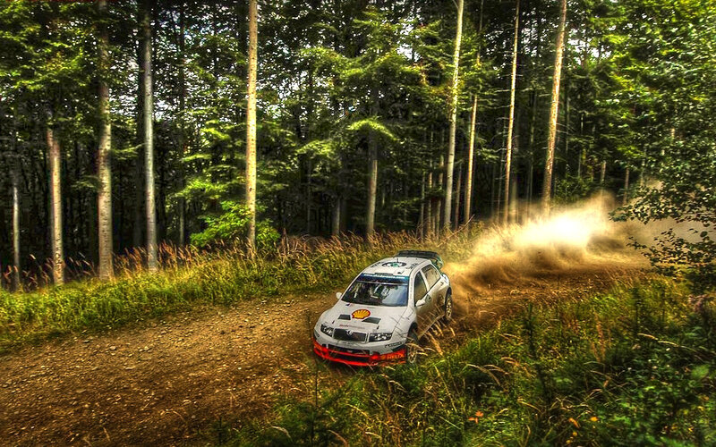 Rally car in forest