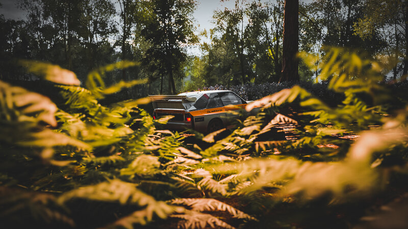 Rally Car in Forest — Green
