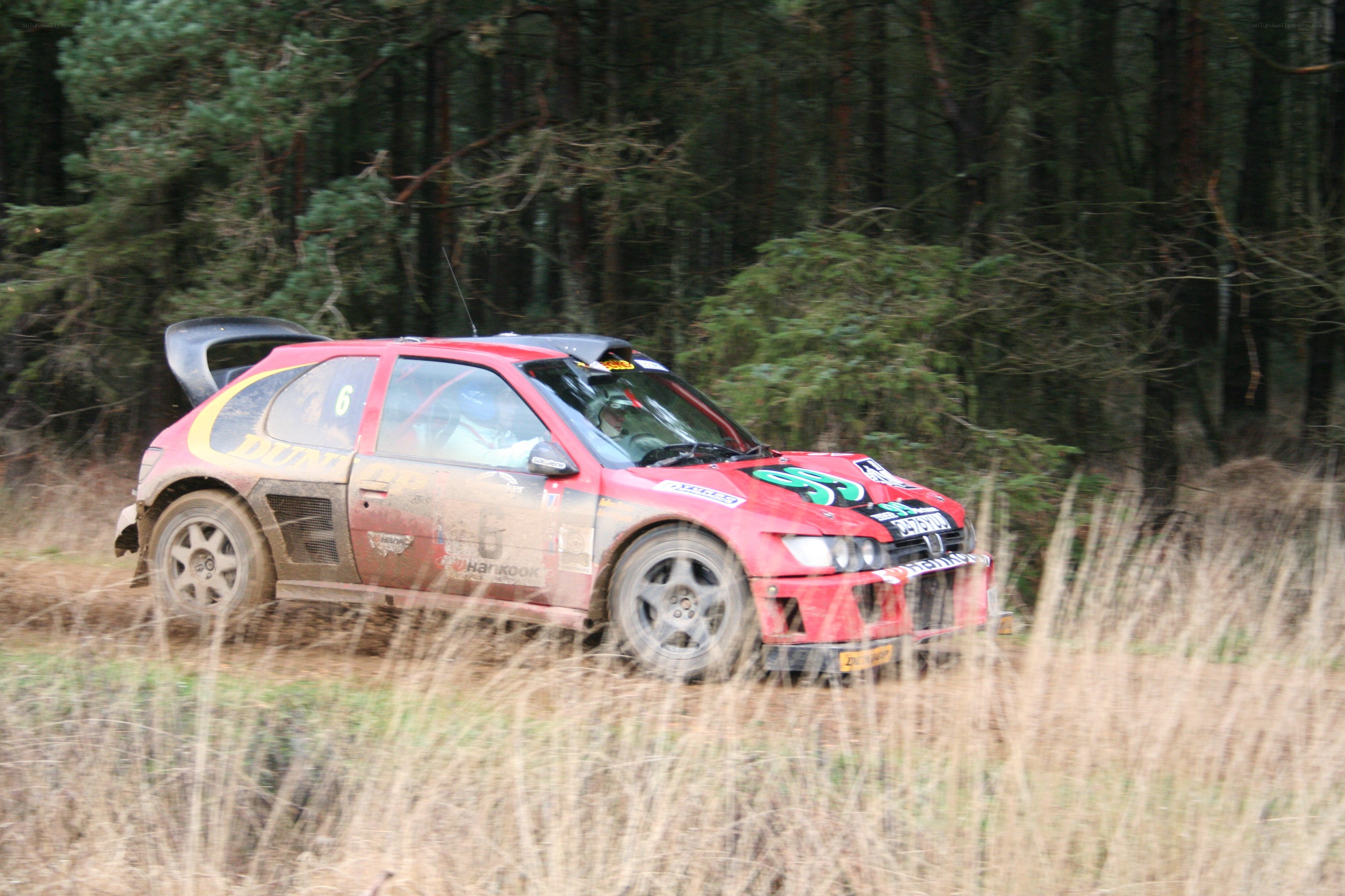Rally car in forest