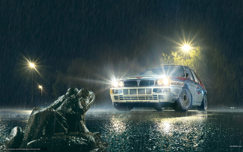 Rally Car in Rain — Black