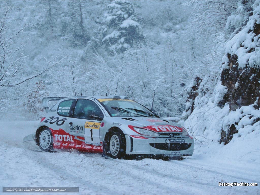 rally car in snowy forest