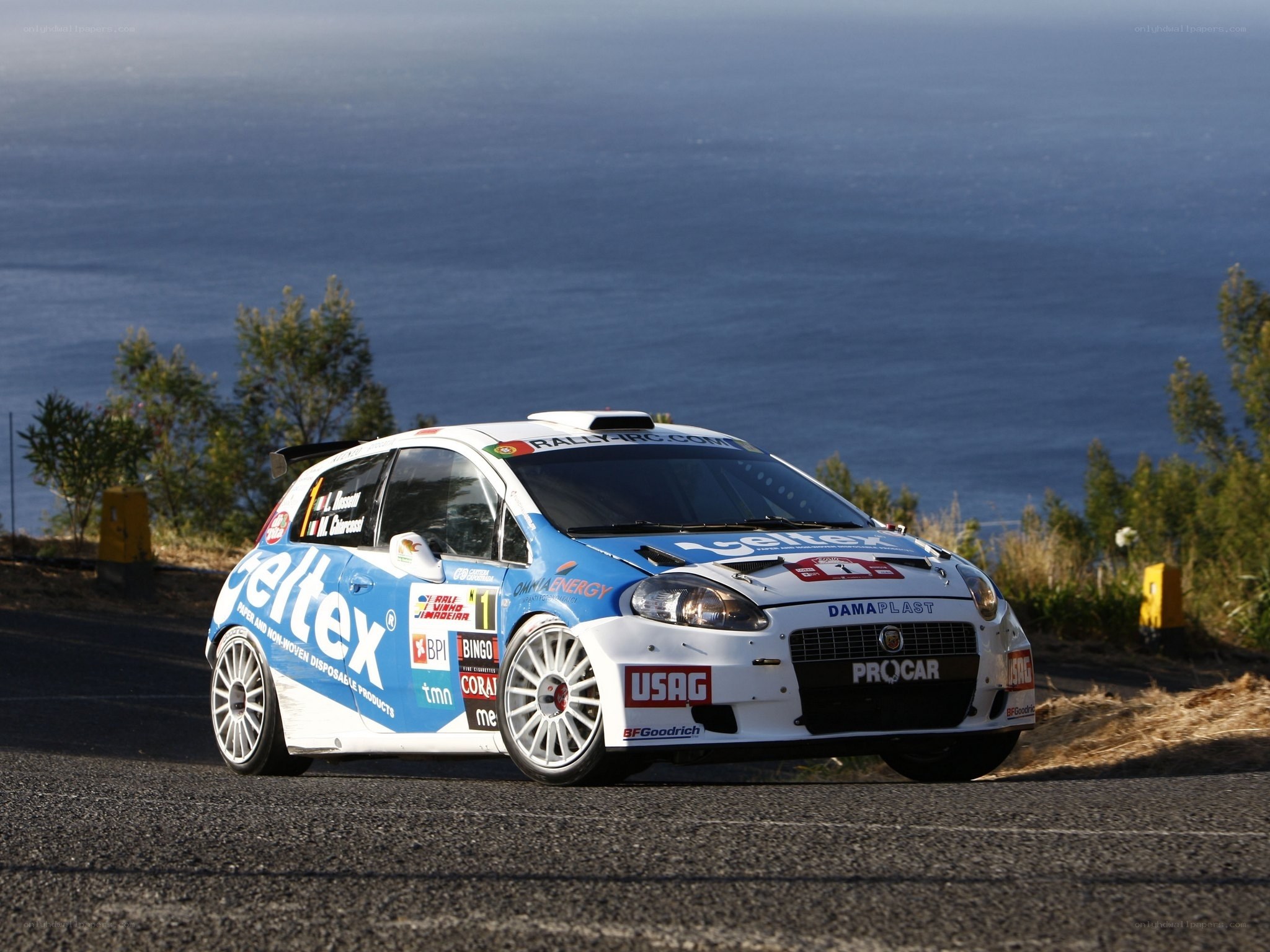 rally car on coastal road