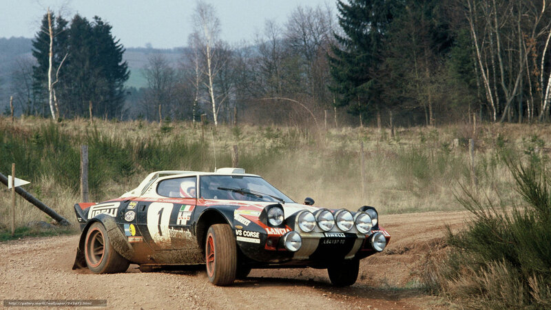 Rally Car on Dirt Road — Black, Dynamic, Autumn, Photograph