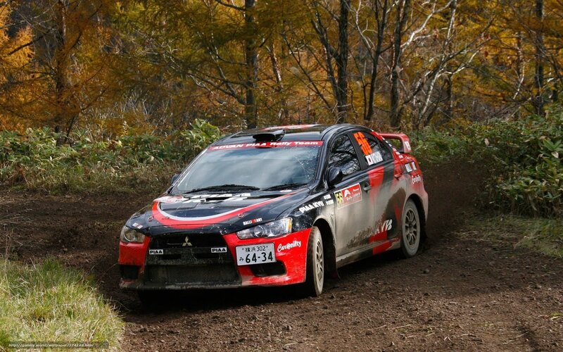 Rally Car on Dirt Road — Black, Dynamic, Autumn, Photograph, Trees
