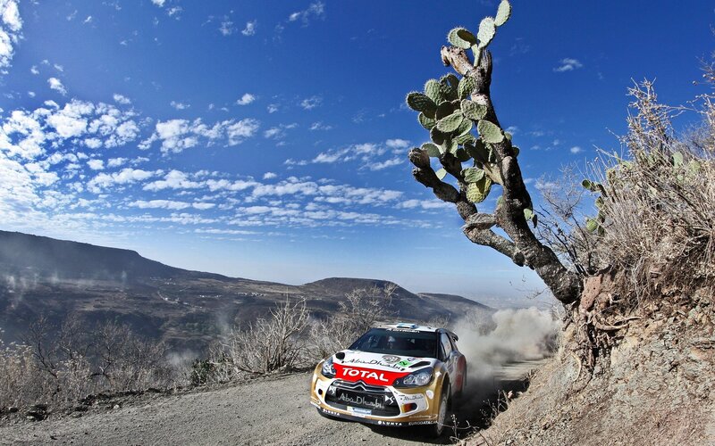 Rally Car on Dirt Road — Blue, Dynamic, Afternoon, Photograph, Cactus, Dust