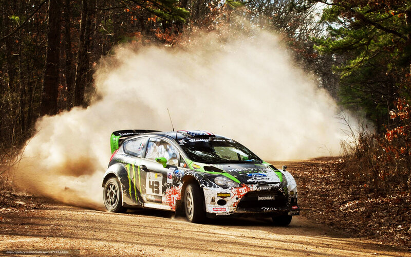 Rally Car on Dirt Road — Brown, Dynamic, Autumn