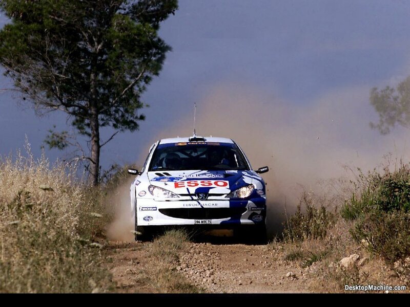 Rally Car on Dirt Road — White, Dynamic, Afternoon, Photograph, Dirt Road, Tree, Dust
